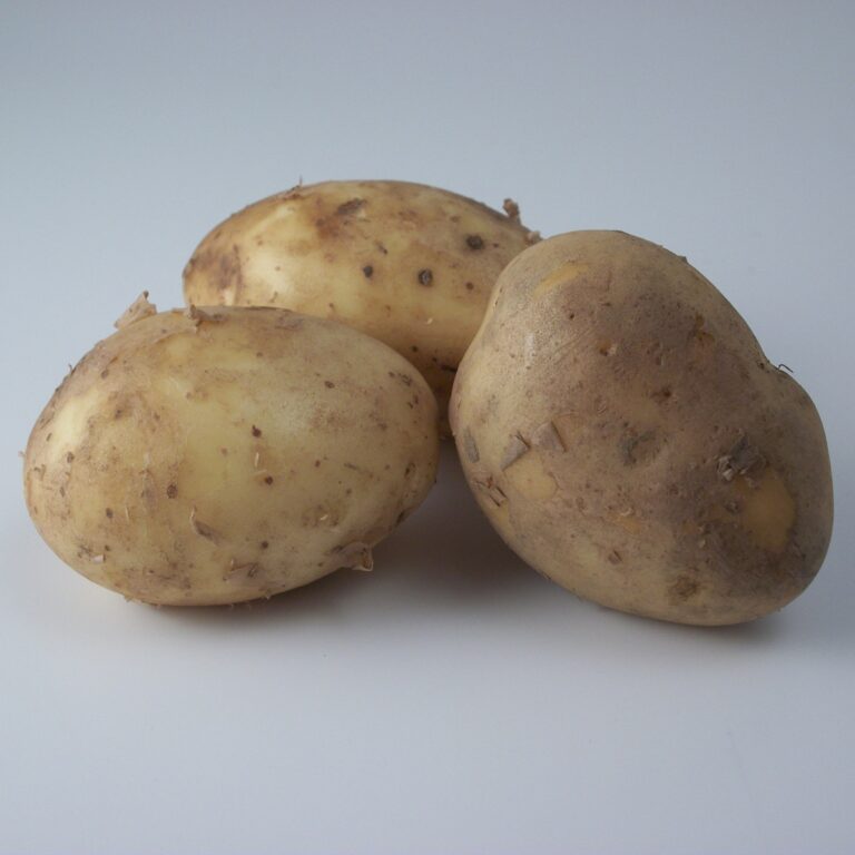 5015882224180 1 Maris Piper Main Crop Seed Potatoes 2kg.JPG